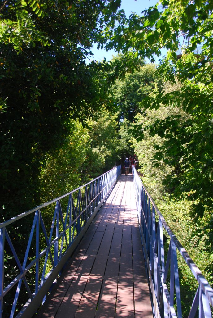 La passerelle de 32 mètres de long relie deux collines de la Ville d'Hiver d'Arcachon, enjambant l'allée Emile Péreire.
