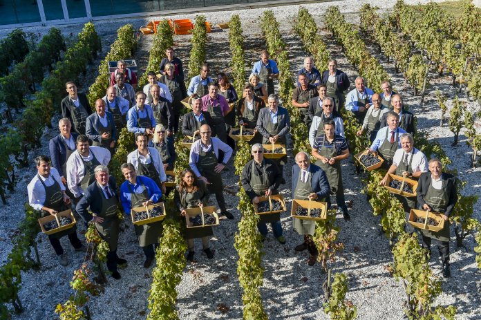 Vendanges à l'aéroport de Bordeaux