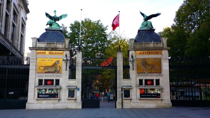 porte d'entrée zoo anvers City Breaks AAA+