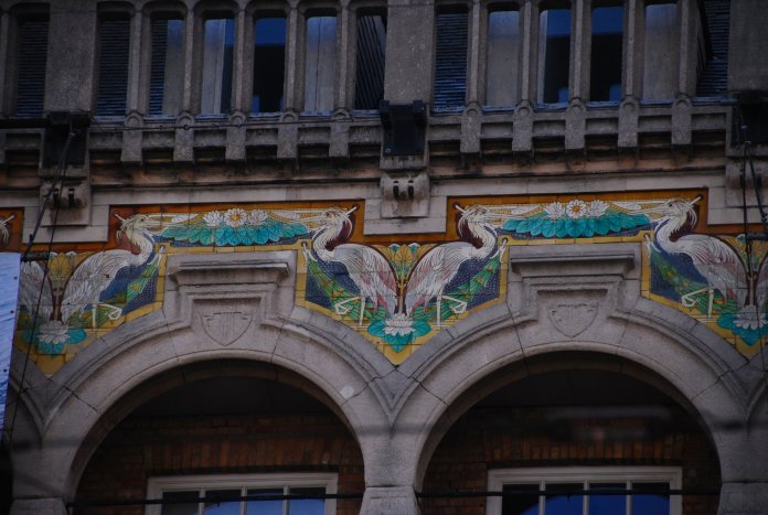 pélicans zoo d'Anvers http://citybreaksaaa.com