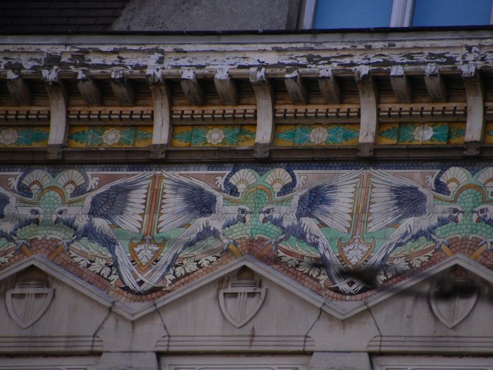 perroquets zoo d'Anvers http://citybreaksaaa.com