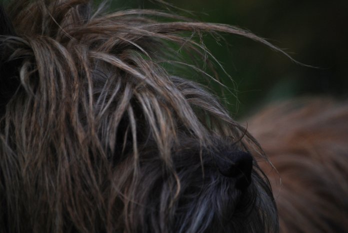 Rainbow cairn écossais