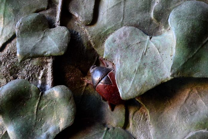 Insecte Sagrada Familia Barcelone Barcelona