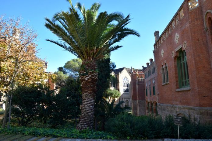Rue Sant Pau Barcelone Barcelona