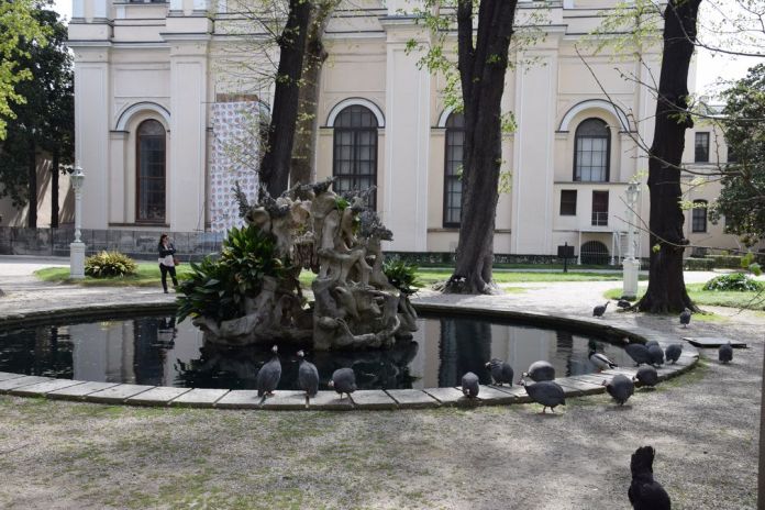 pintades Dolmabahçe Istanbul