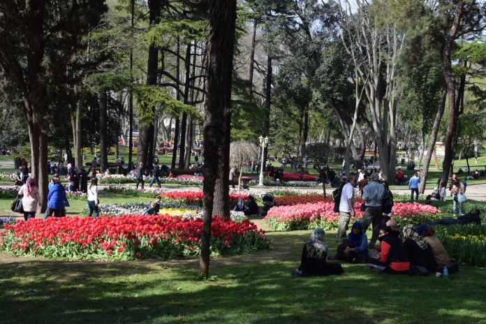 tulipe Gülhane istanbul