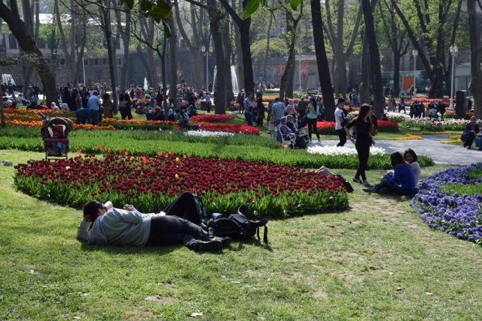 tulipes parc de Gülhane Istanbul