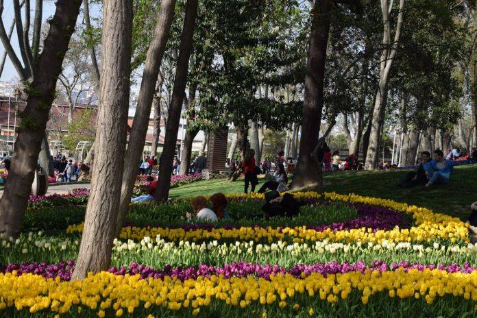 tulipes Gülhane istanbul