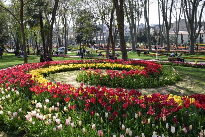 tulipes Gülhane Istanbul