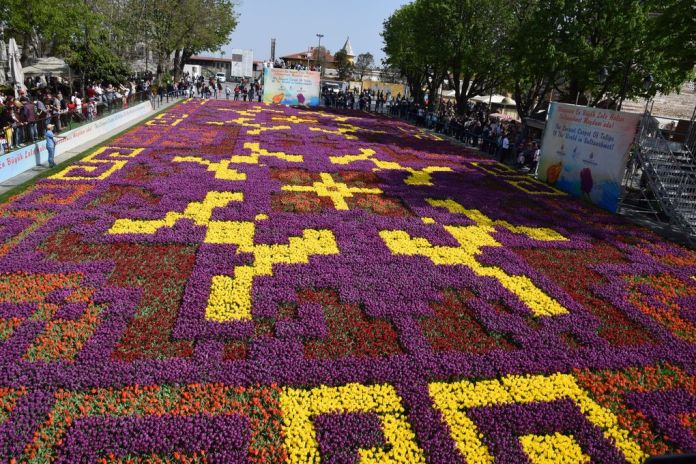 tulipes sainte sophie istanbul
