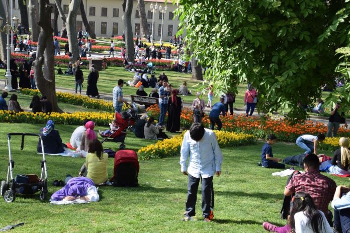 tulipes Gülhane istanbul