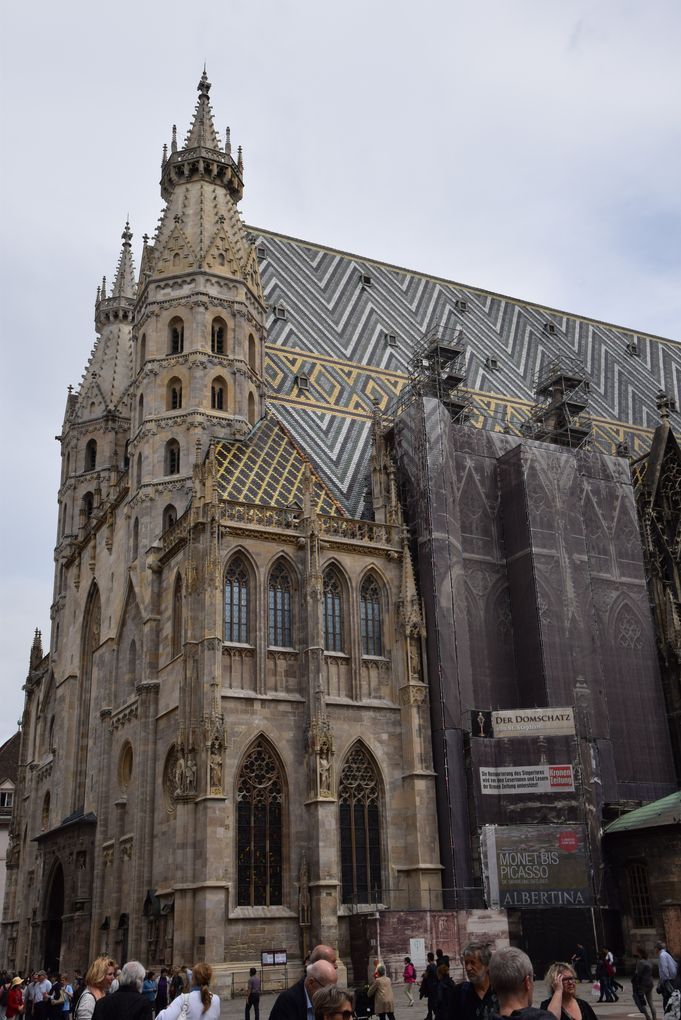 cathédrale saint-étienne vienne vienna wien
