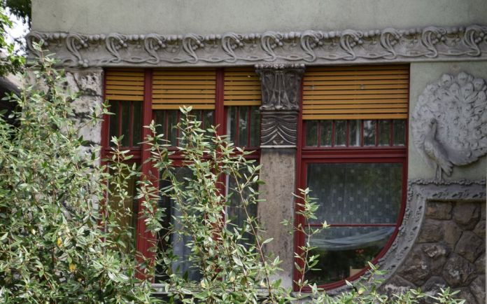 paons Budapest Hongrie Hungary