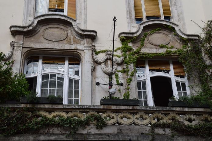 nature Budapest Hongrie Hungary