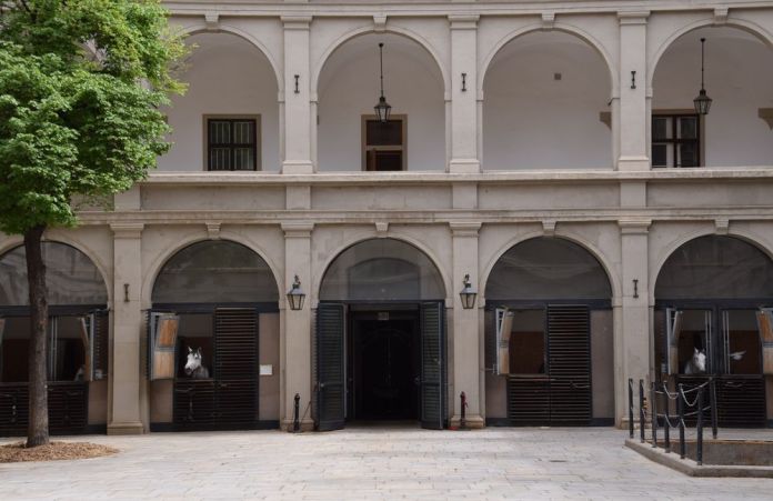 lipizzans école espagnole vienne vienna wien