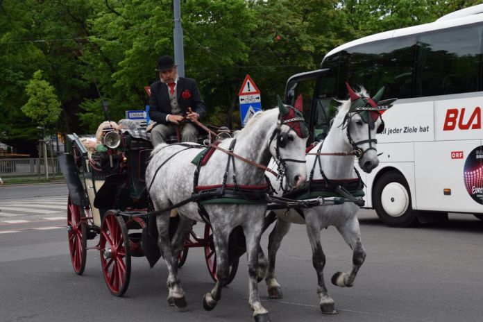 calèche vienne vienna wien