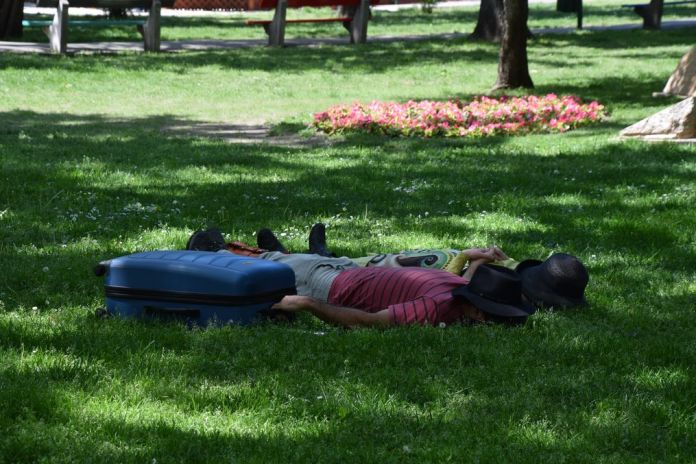 bois de la ville Budapest Hongrie Hungary