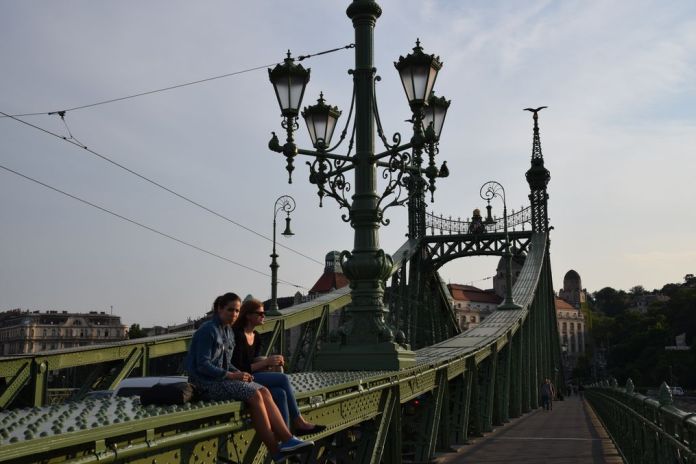 pont de la liberté observation Budapest Hongrie Hungary