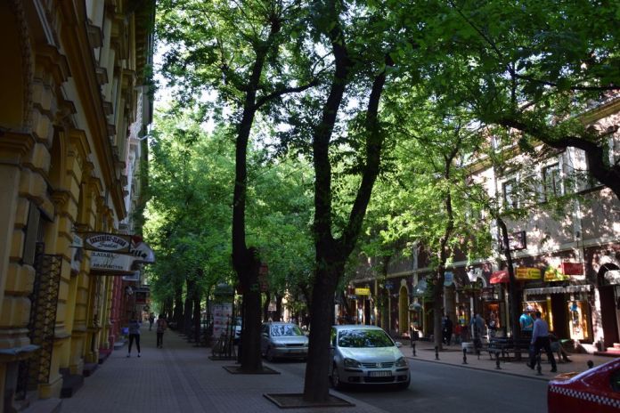 rue ombragée Subotica Serbie
