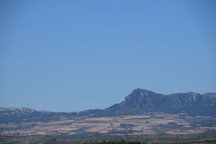 Lion endormi Logrono Rioja