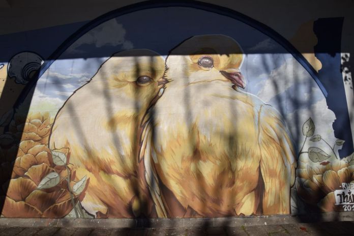 Graffitis à Porto. Photo City Breaks AAA+, Claude Mandraut.