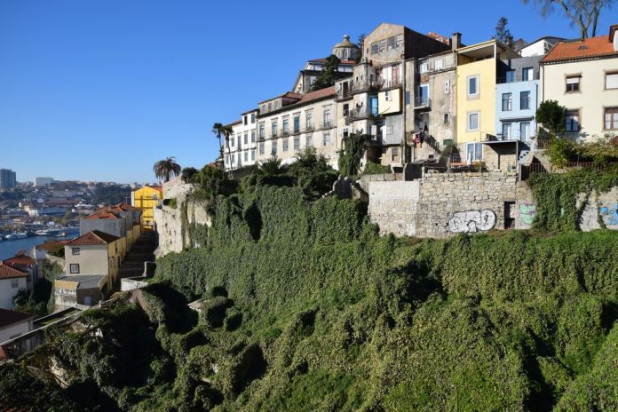 depuis le pont Luis I la végétation drape les ruines au-dessus du quai de la Ribeira à porto portugal