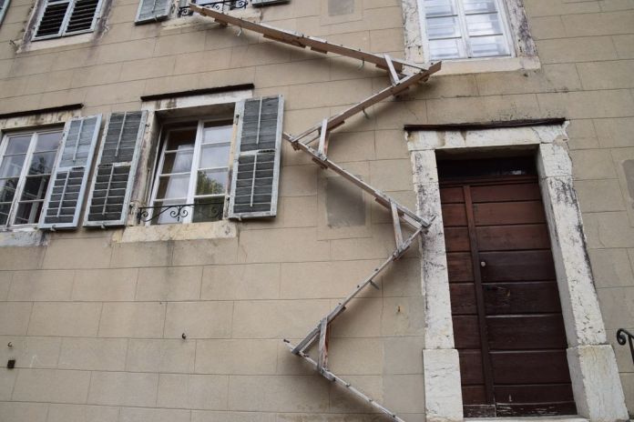 confort des chats la Chaux de fonds, suisse switzerland