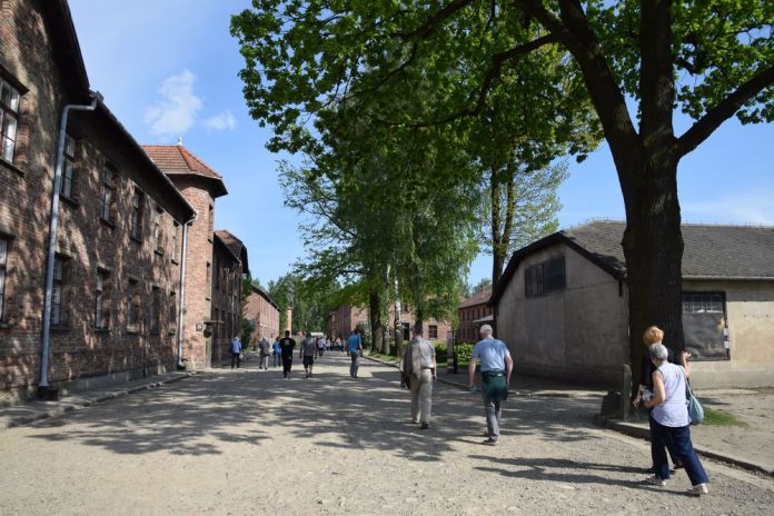 dans les allées d'Auschwitz