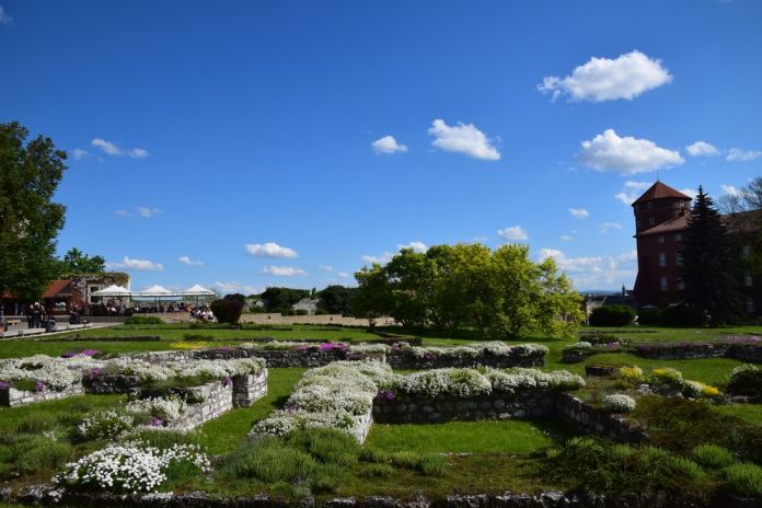 esplanade du château de Wawel fleurs et terrasses