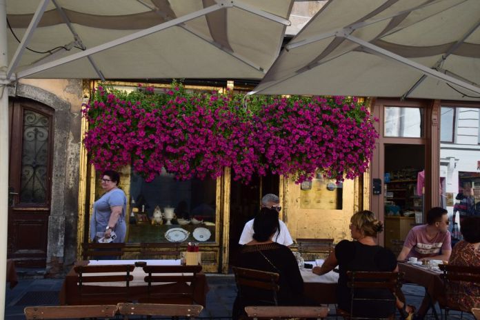 rideau de bleurs Catbriyur Ljubljana