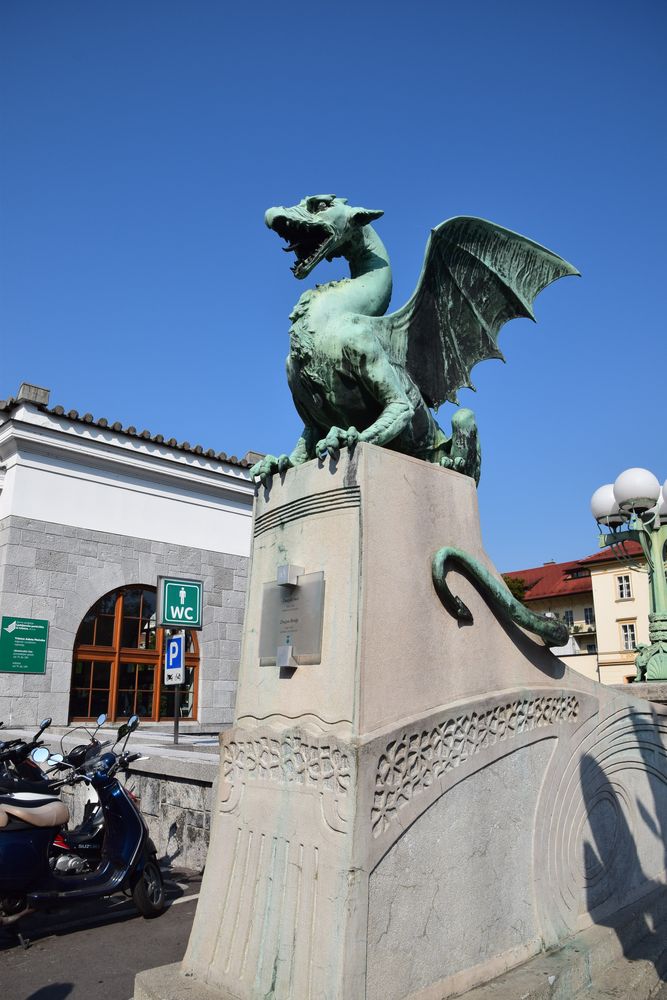 dragons de Ljubljana