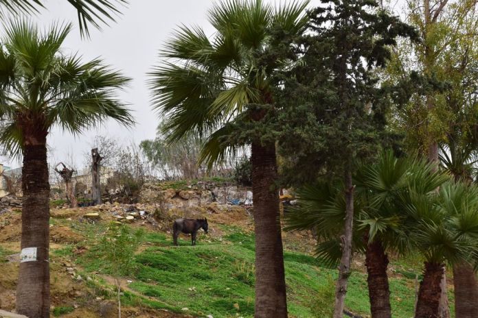 à la sortie de la Médina de Fès