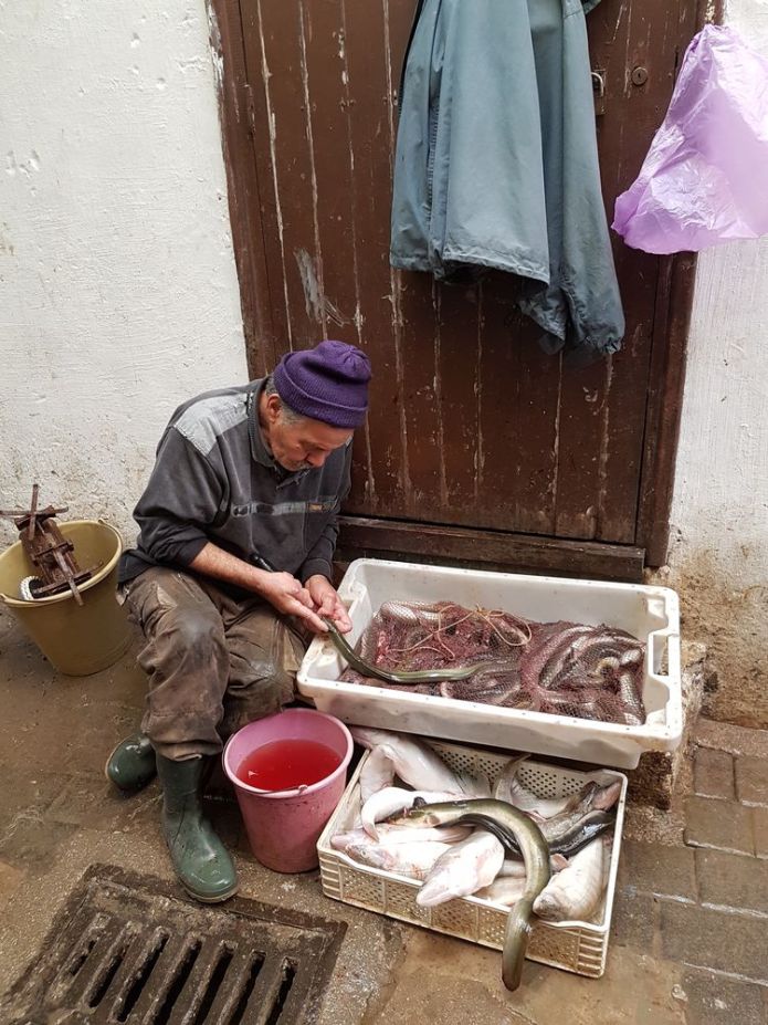 poissonnier installation précaire Médina Fès
