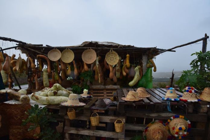 sur la route de Volubilis courges