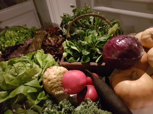 tableau coloré à base de légumes