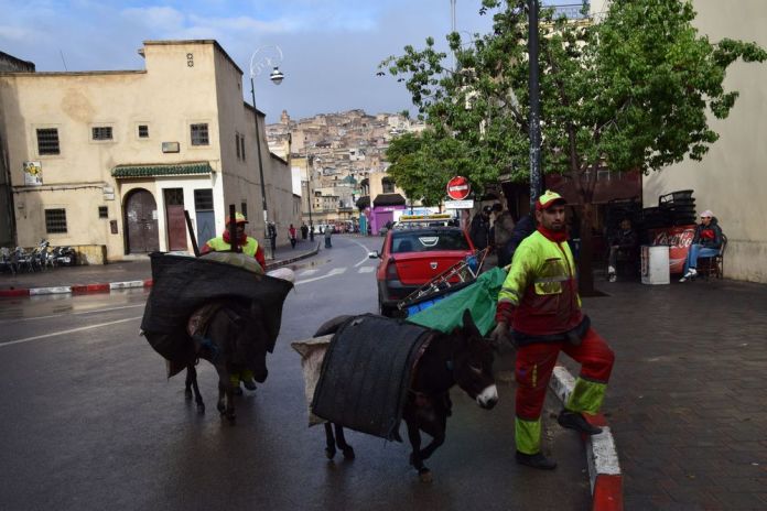collecte ordures ménagères Médina de Fès