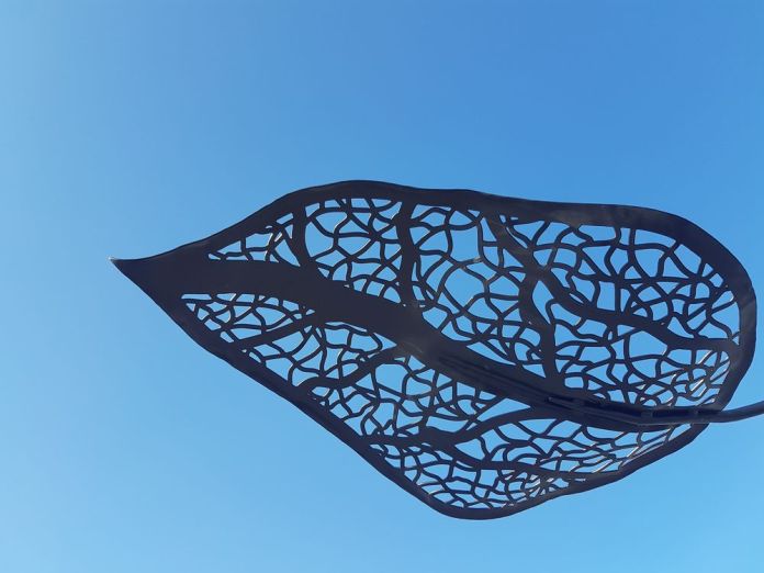 feuille dans le ciel Canopée Café