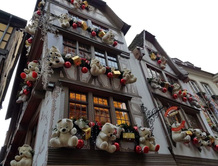 ours attendant le père Noël