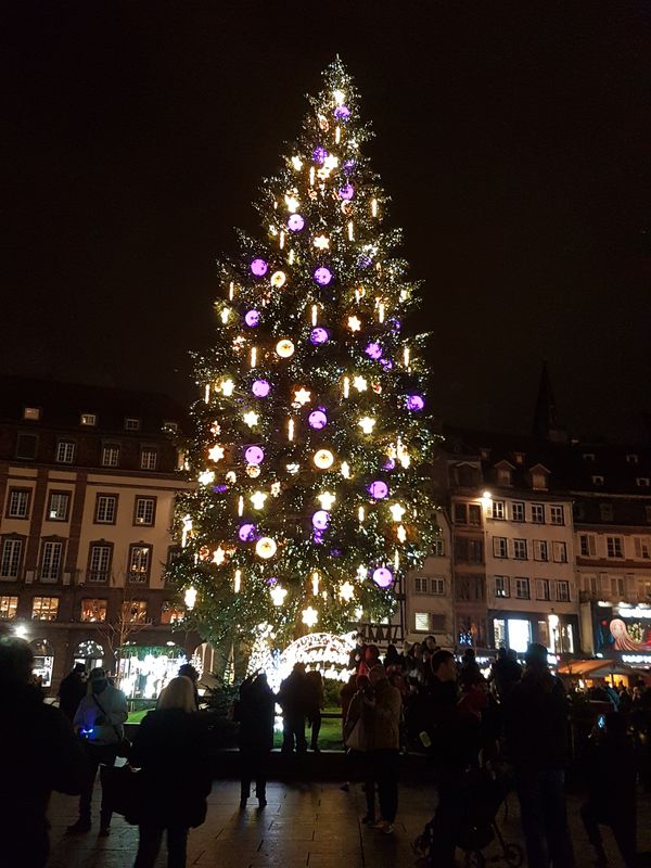 grand arbre de Noël place Kléber strasbourg