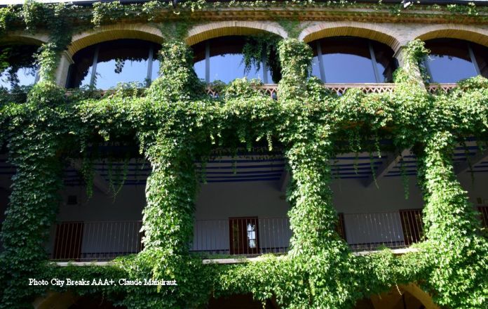 façade couverte de lierre Mon St Benet